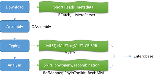../_images/pipelines_overview.png