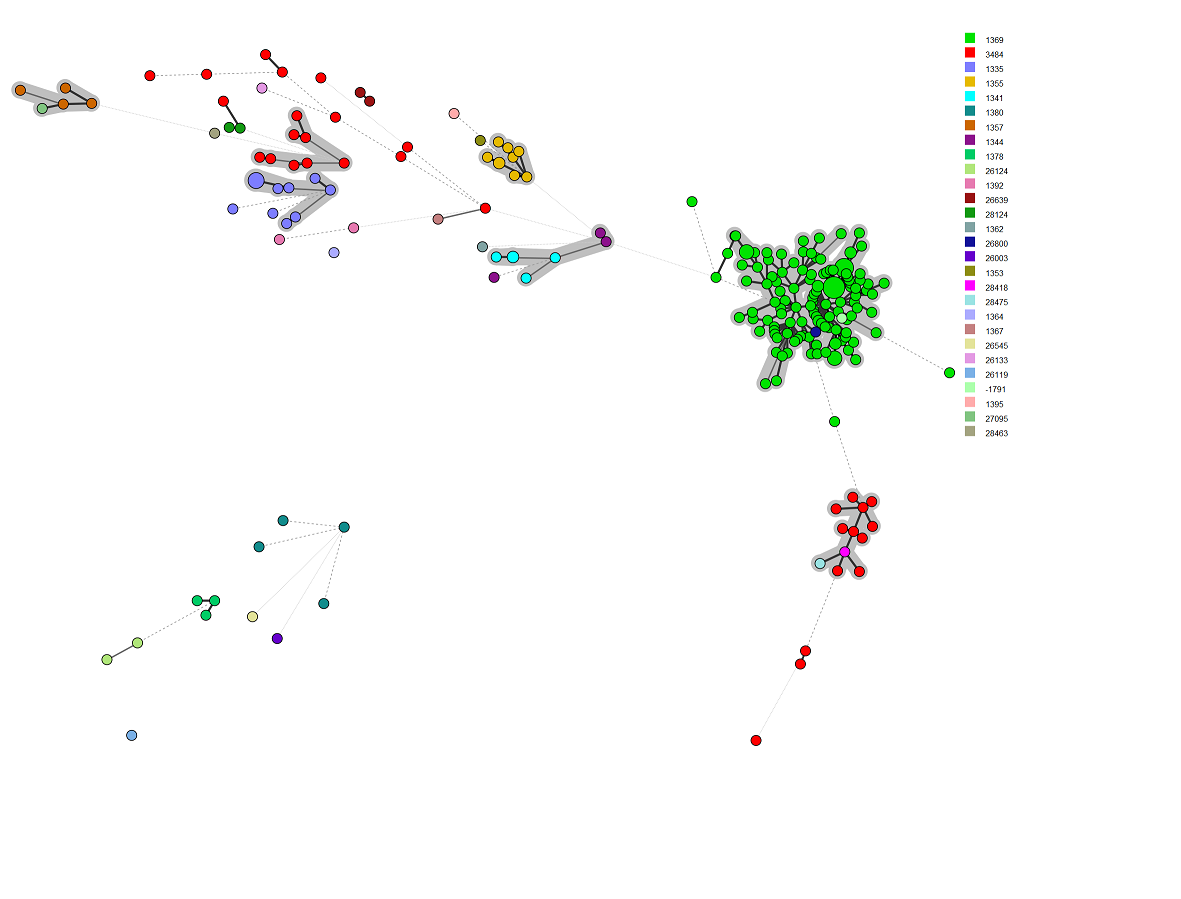 ../_images/typhimuirum_example.png